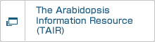 The Arabidopsis Information Resource (TAIR) 