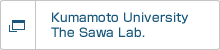 Kumamoto University The Sawa Lab.